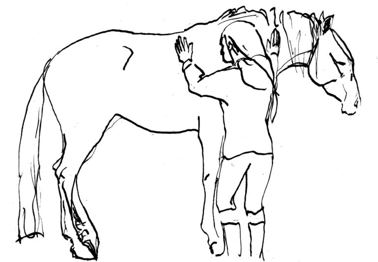 dessin de l'auteure à l'encre de chine (représentant une séance de shiatsu équin, le cheval est détendu, l'encolure baissée, un pied au repos.)